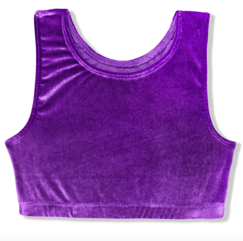 Velvet Sports Bra Crop Top